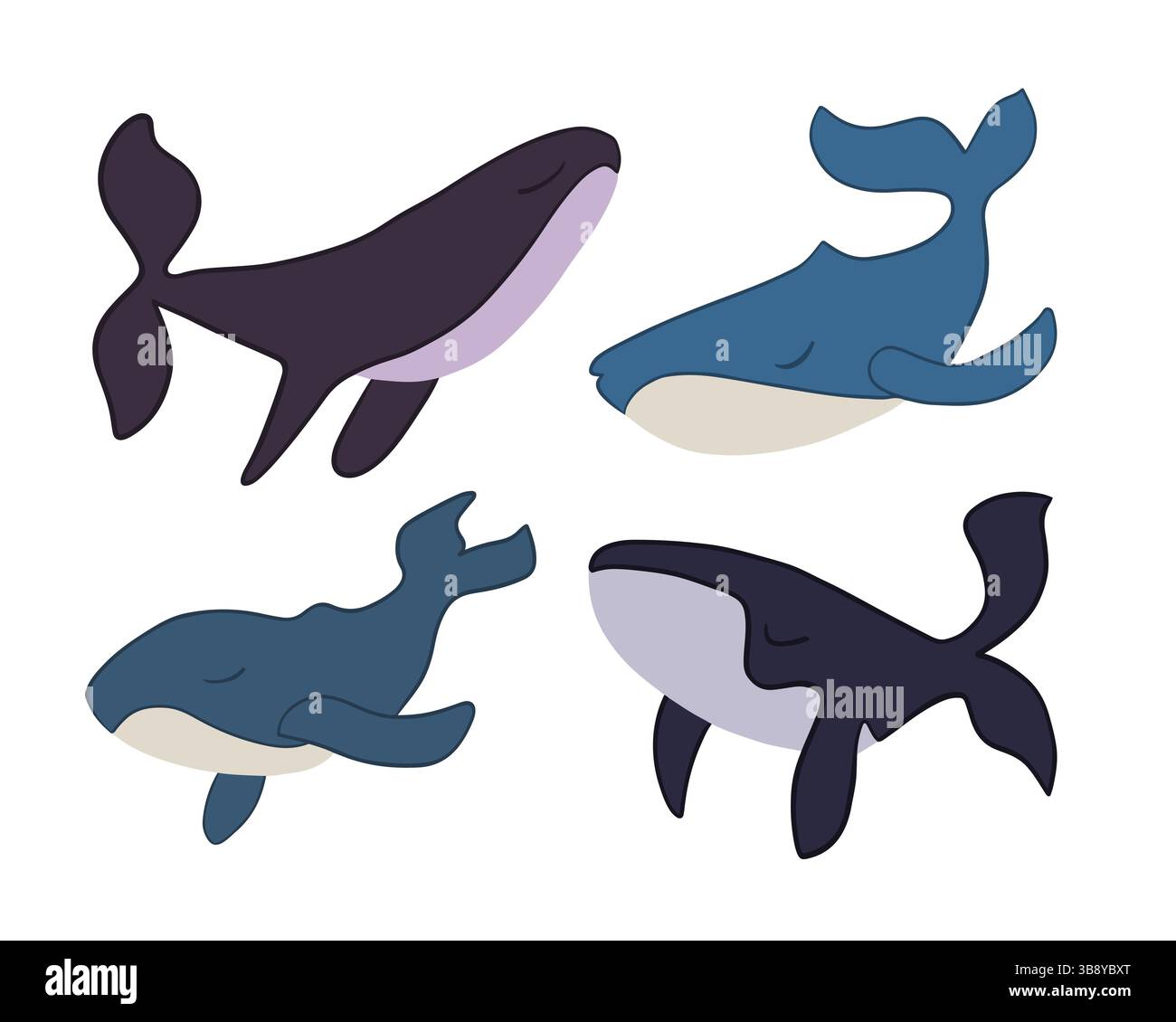 Vector isolated illustration of a set of whales on a white background ...