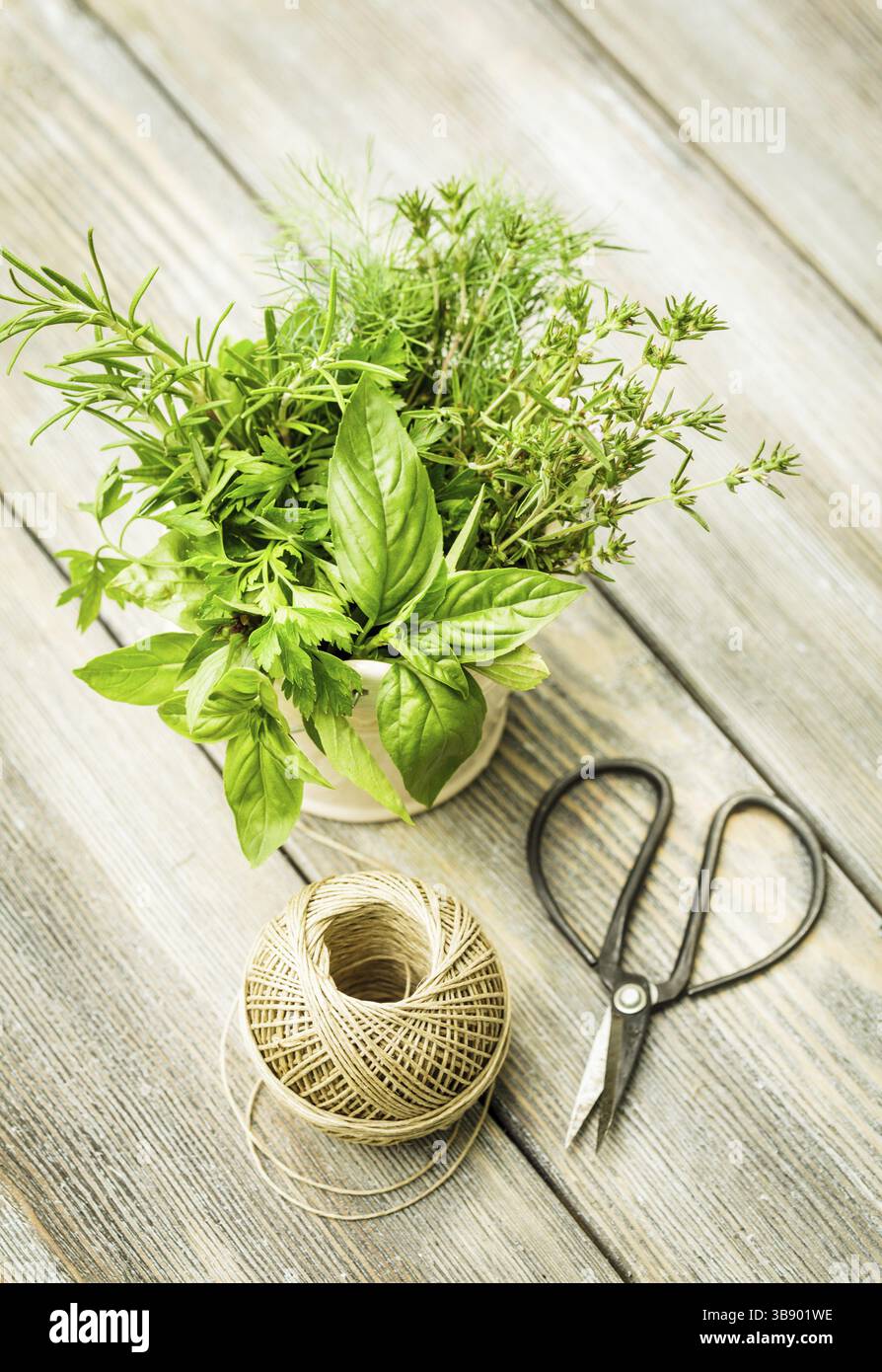 Fresh herbs outdoor on the wooden table. Preparation for drying Stock Photo