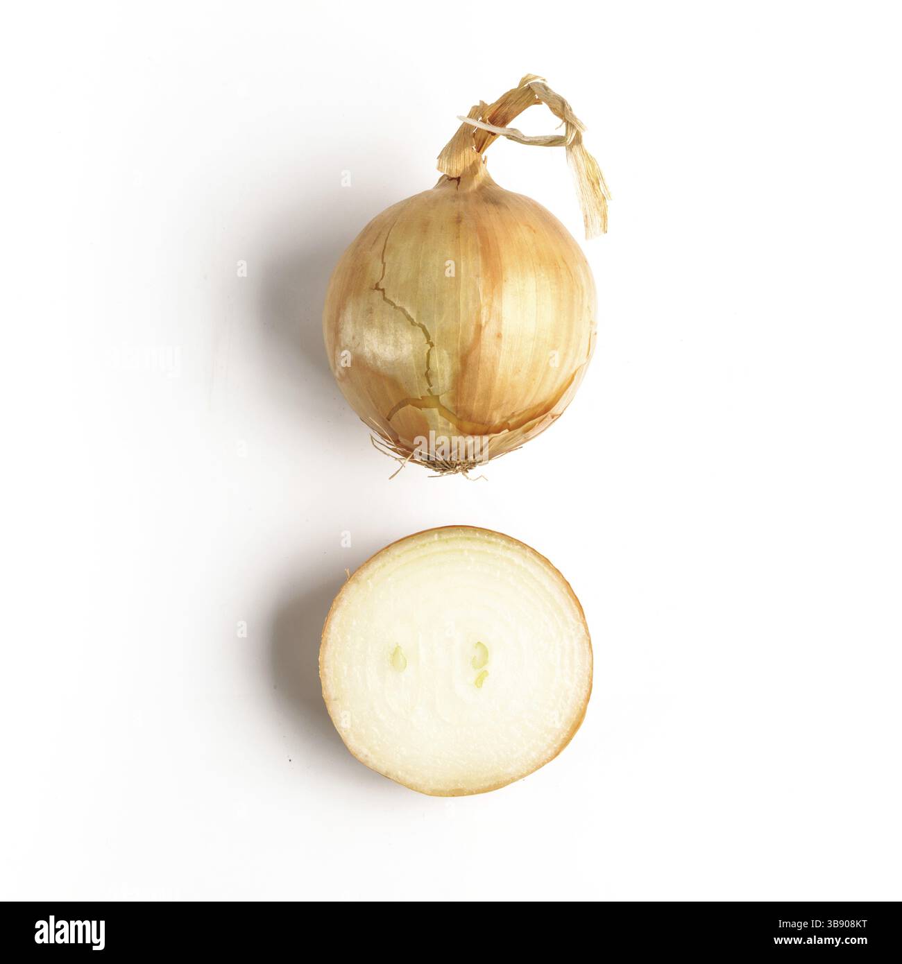 Onion full and half. Isolated on white with clipping path. Top view or ...