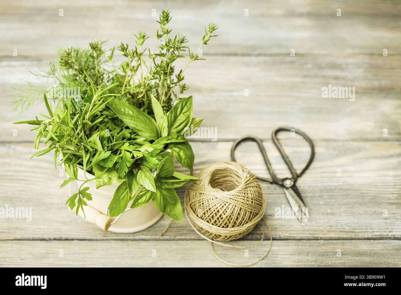 Fresh herbs outdoor on the wooden table. Preparation for drying Stock Photo