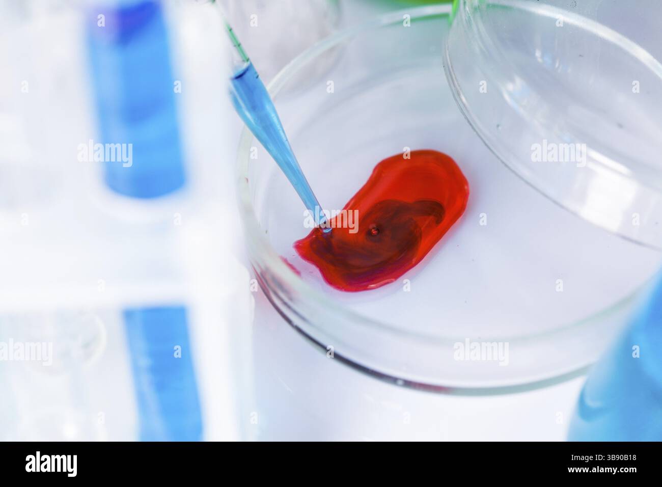 Scientist shows a diffusion in the Petri dish Stock Photo