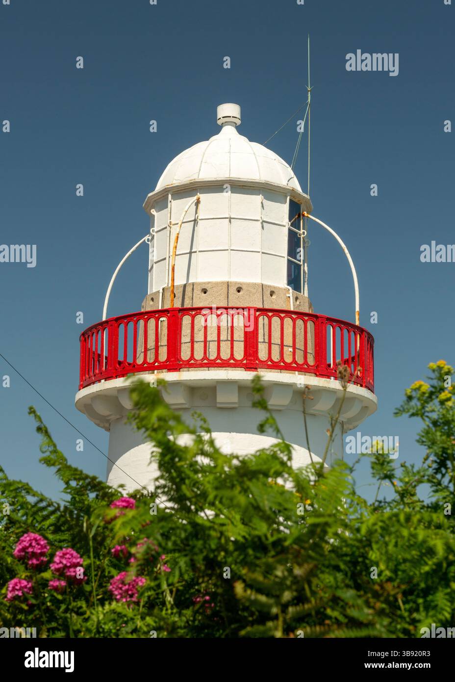 Youghal Lighthouse in County Cork, Ireland, seen through spring ...