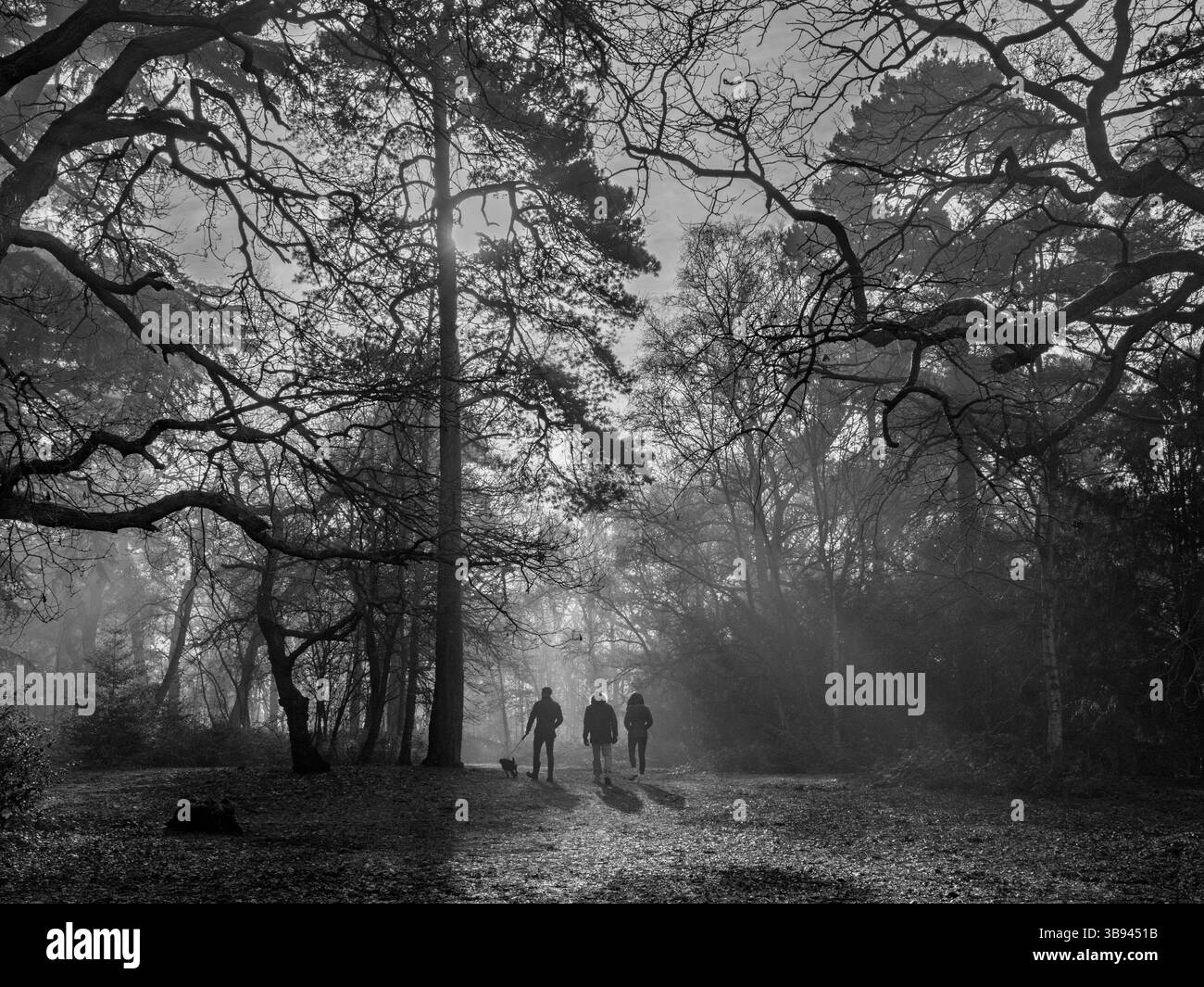 Family walking through woods Black and White Stock Photos & Images - Alamy