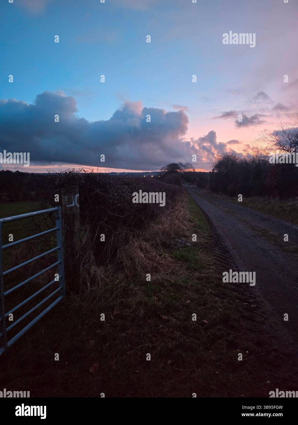 A winding dirt road leads into the horizon, framed by tall grass and a rustic metal gate. The sky painted in soft blues and pinks as twilight whispers. - Smartphone Captured Stock Image A winding dirt road leads into the horizon, framed by tall grass and a rustic metal gate. The sky painted in soft blues and pinks as twilight whispers. - Smartphone Captured Stock Image