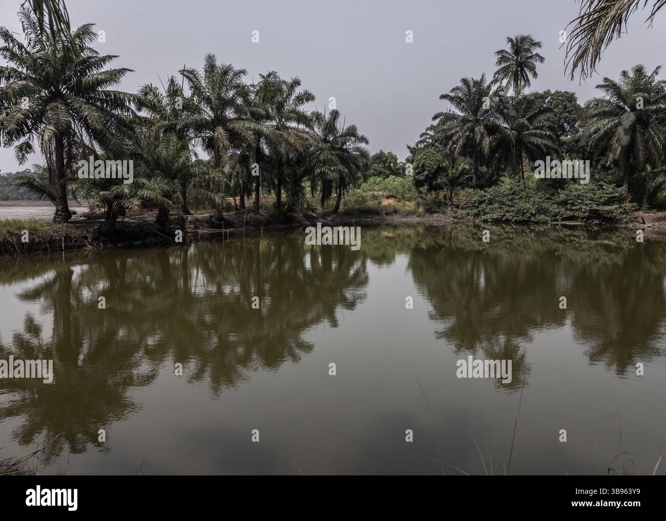 Shell Exploition January 22, 2022, Nigeria: Oil exploitation certainly ended with the ...