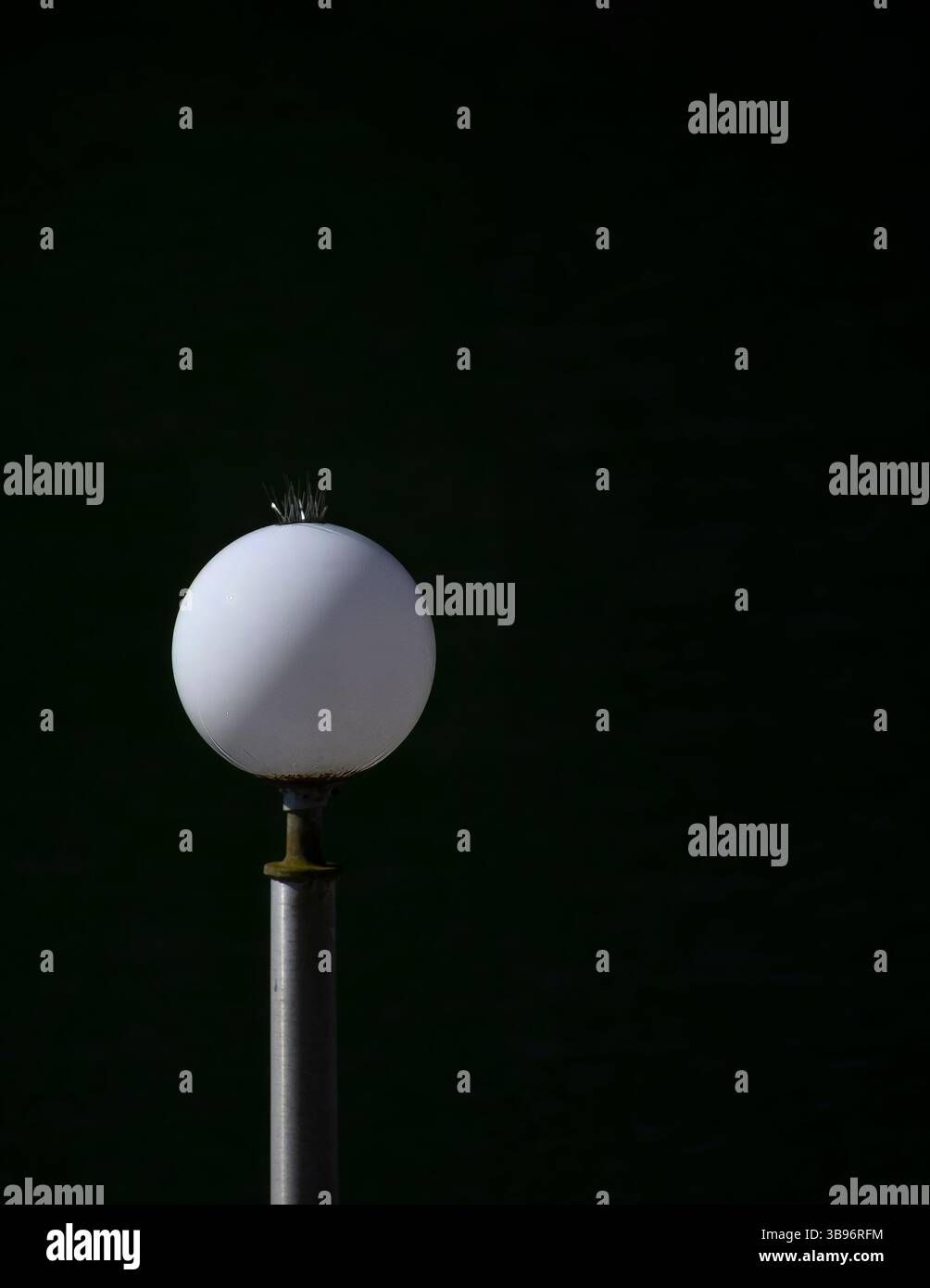 A globe light in the morning light at the Brownsville Marina. Stock Photo