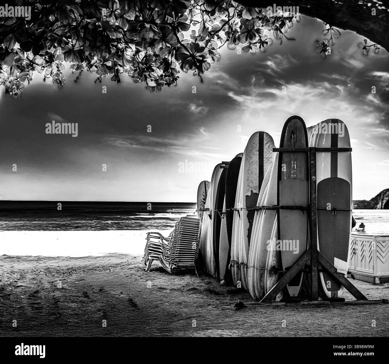 Waikiki beach surfing Black and White Stock Photos & Images - Alamy