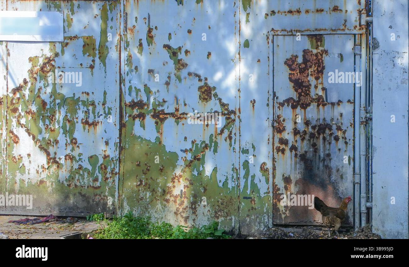 A good texture image of a wall to use as a background image, the natural texture is very unique and pleasing to the eye Stock Photo