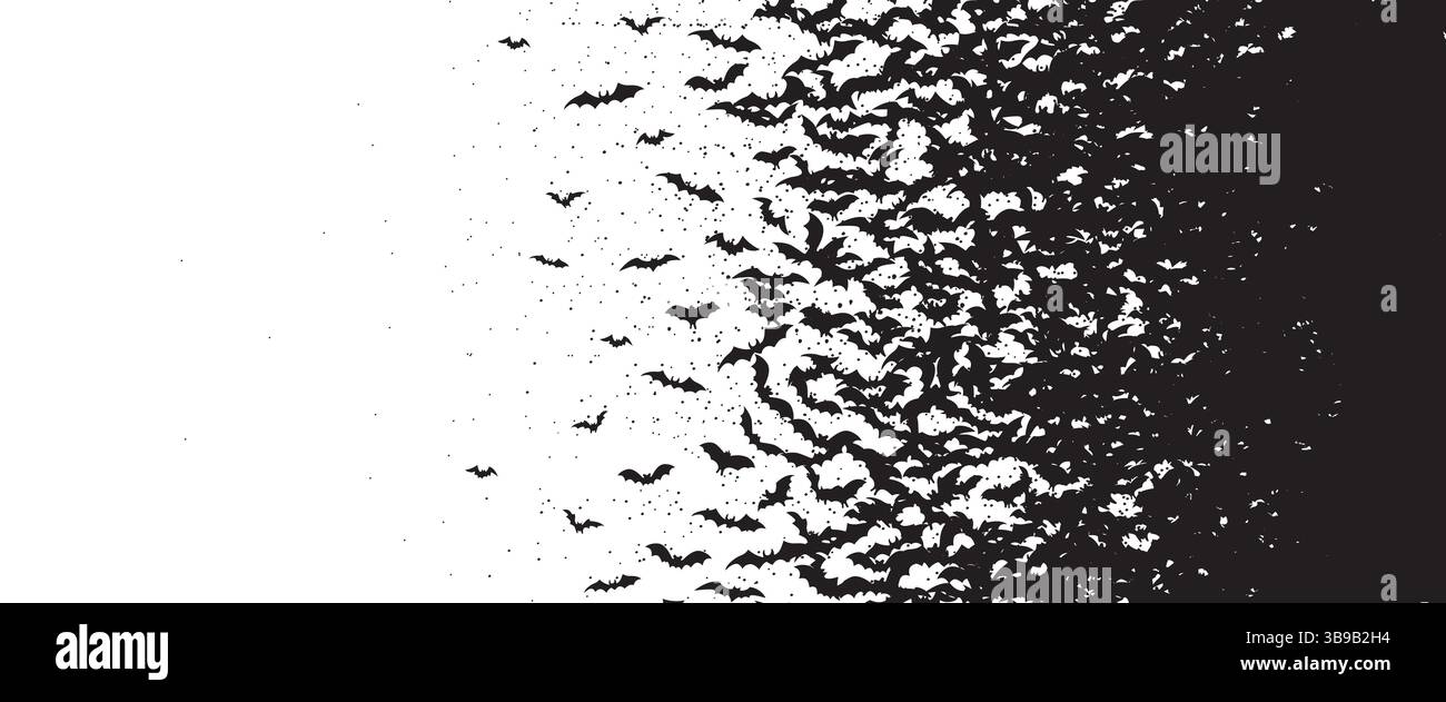 White background with black silhouette of flying bats flock. Halloween ...
