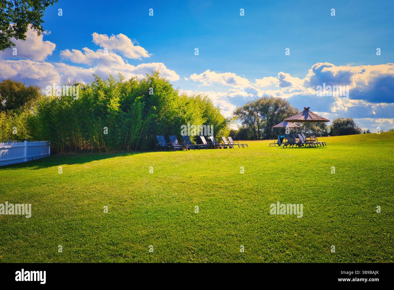 table tennis shoes sale