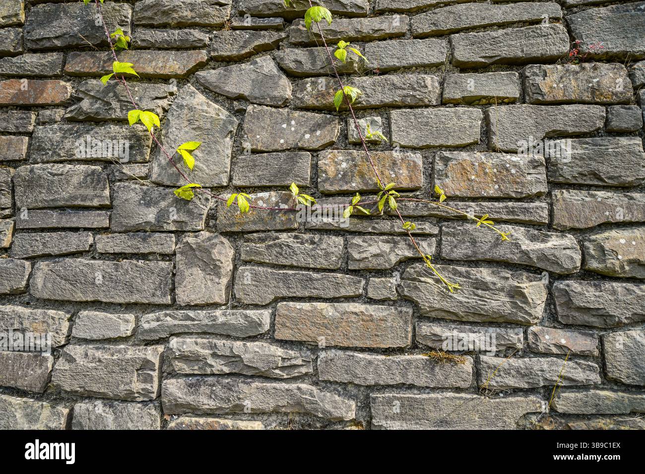 Old rustic wall made of gray blocks. Natural background. Stock Photo
