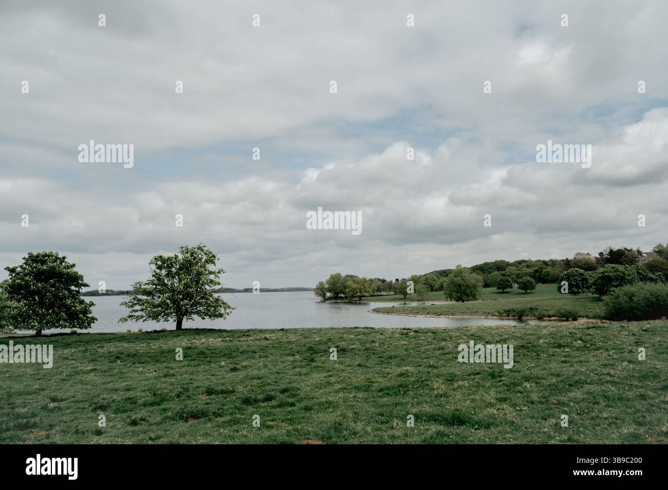 Lake view with trees hi-res stock photography and images - Alamy