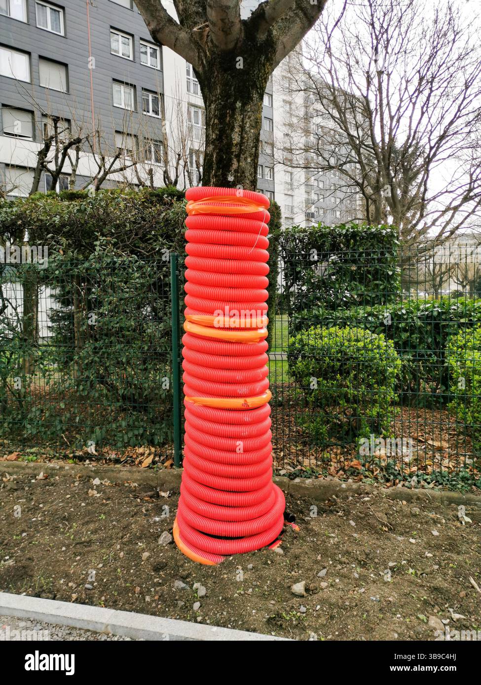 Bright orange plastic pipe surrounds a tree on a construction site to protect it during nearby construction activities. France - Smartphone Captured Stock Image