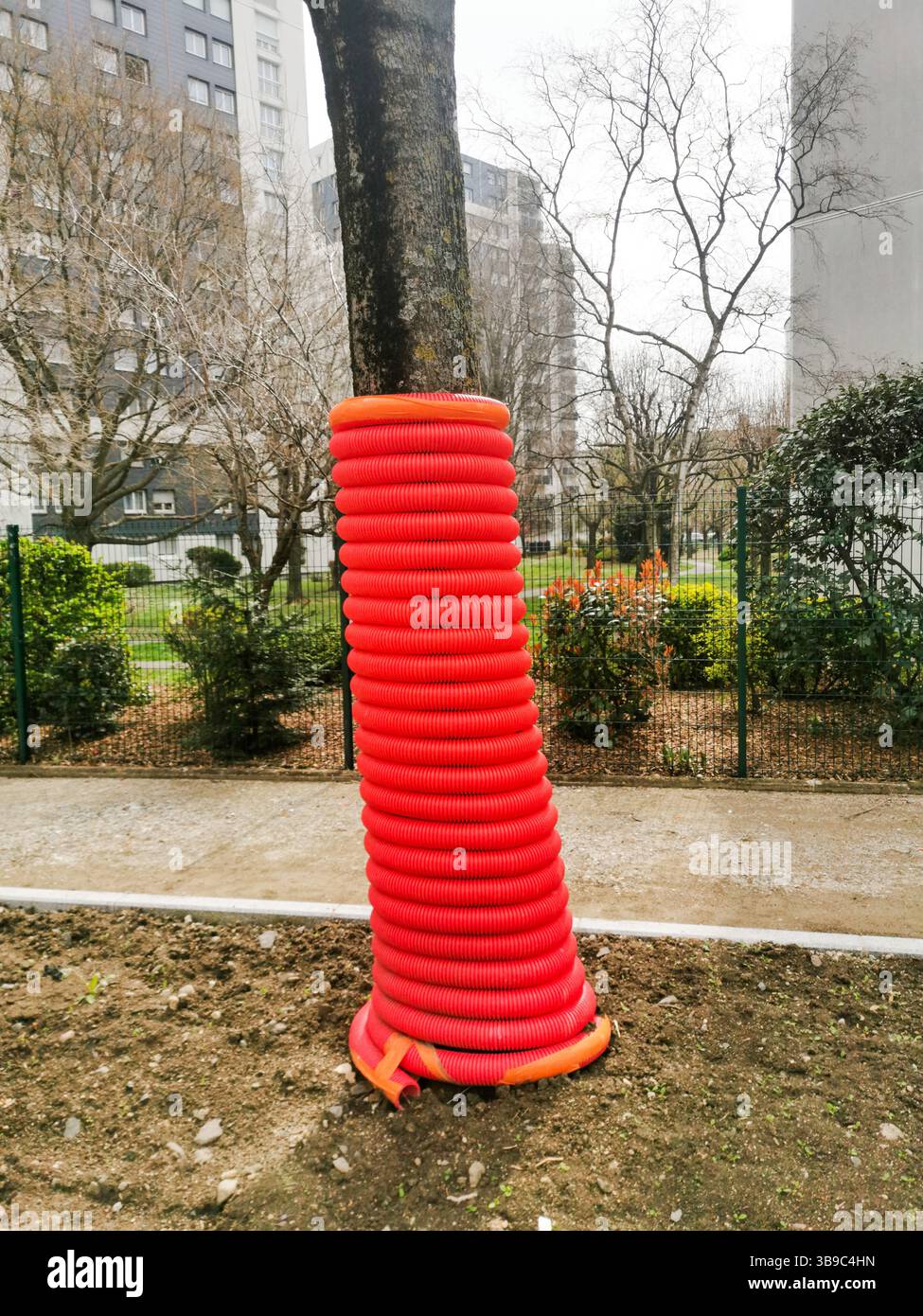 Bright orange plastic pipe surrounds a tree on a construction site to protect it during nearby construction activities. France - Smartphone Captured Stock Image