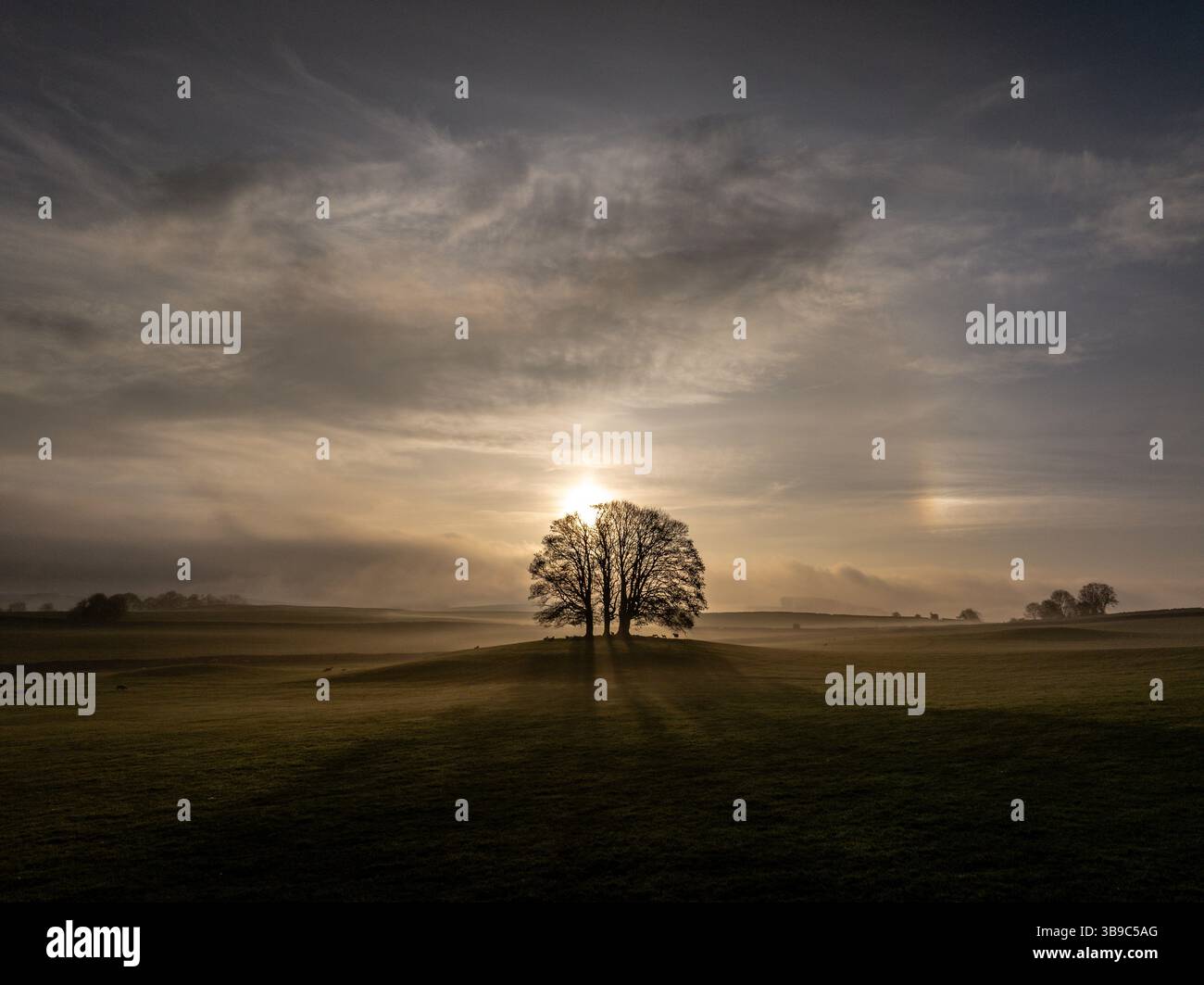 Beautiful shot drone silhouettes hi-res stock photography and images ...