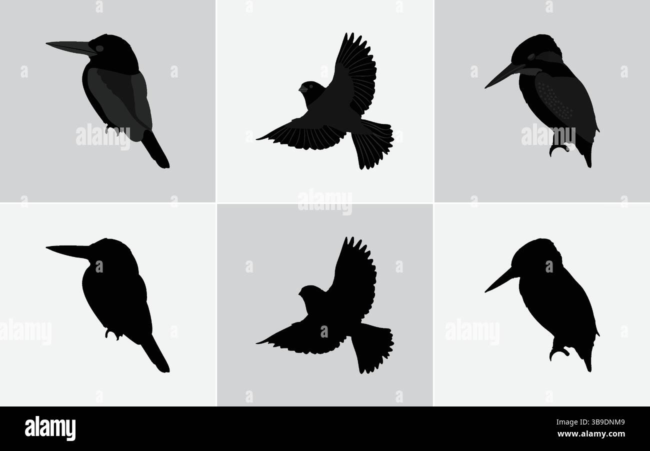 Six Minimalist Black Bird Silhouette Illustrations: Vector Icons for ... - Silhouette Minimalist Decor