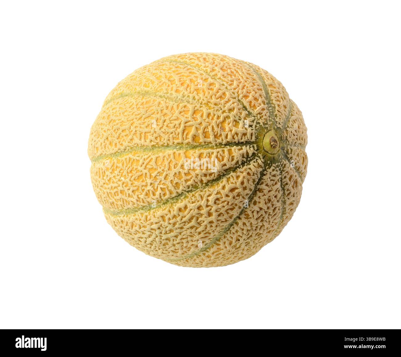 Orange cantaloupe melon isolated on white background. Stock Photo
