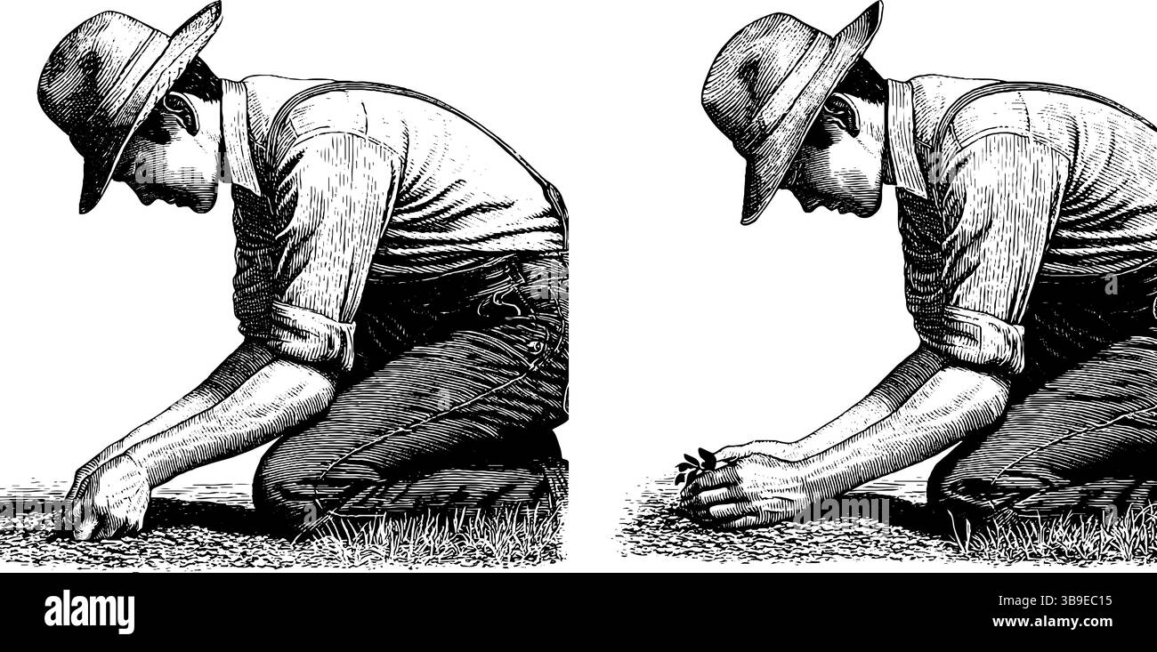 Farmer planting seeds Black and White Stock Photos & Images - Alamy