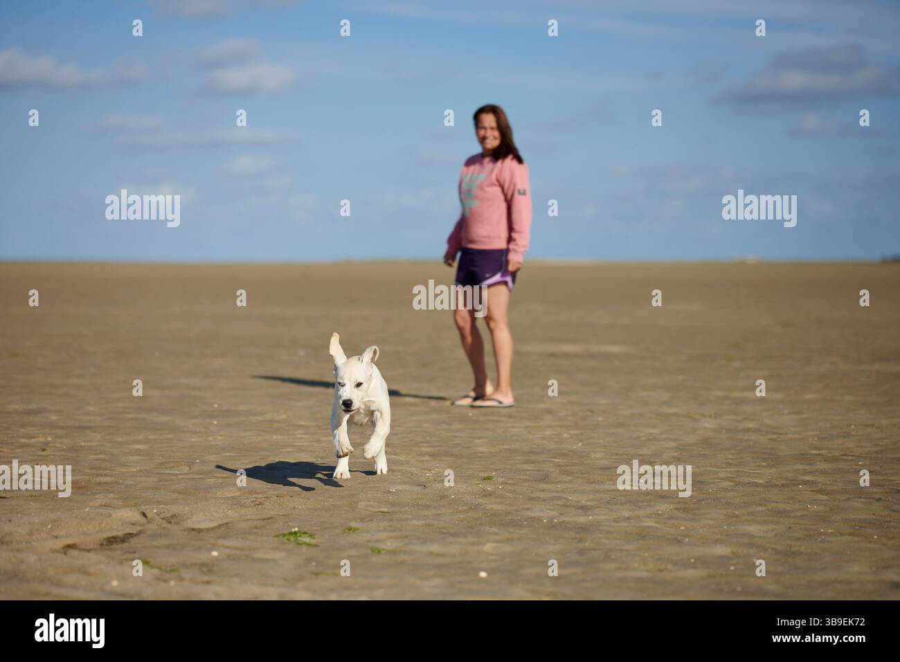 Young woman playing with her puppy by the sea Stock Photo