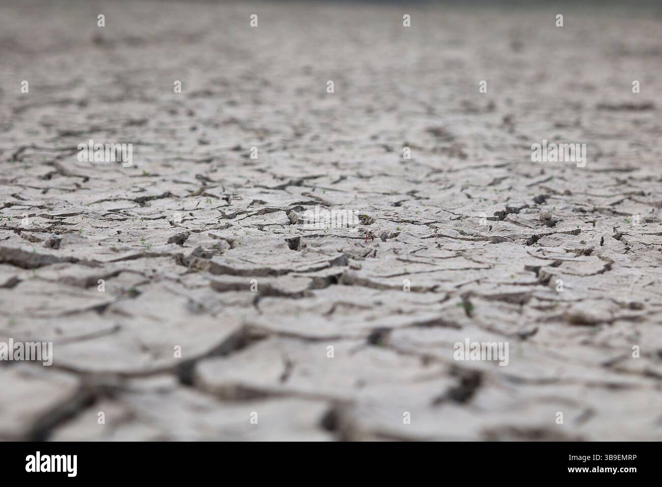 Dried up riverbed Stock Photo