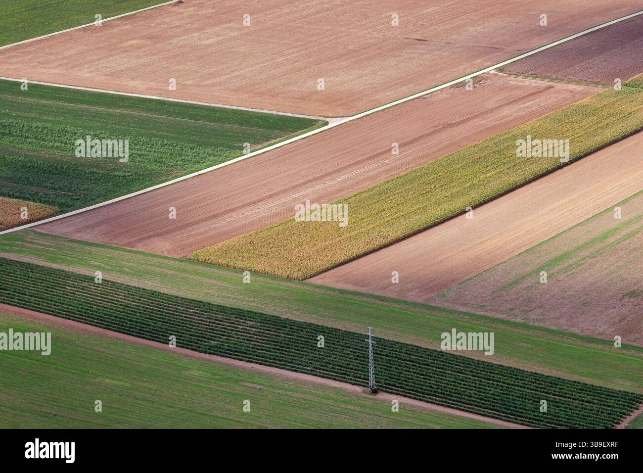 Fields from a bird's eye view Stock Photo