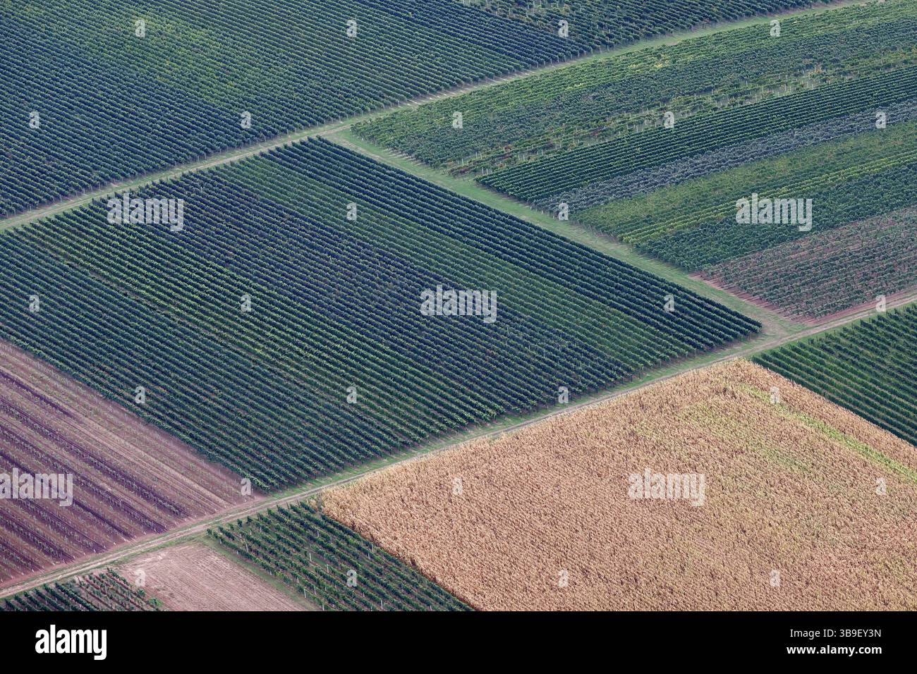 Birds eye view cultivated land hi-res stock photography and images - Alamy