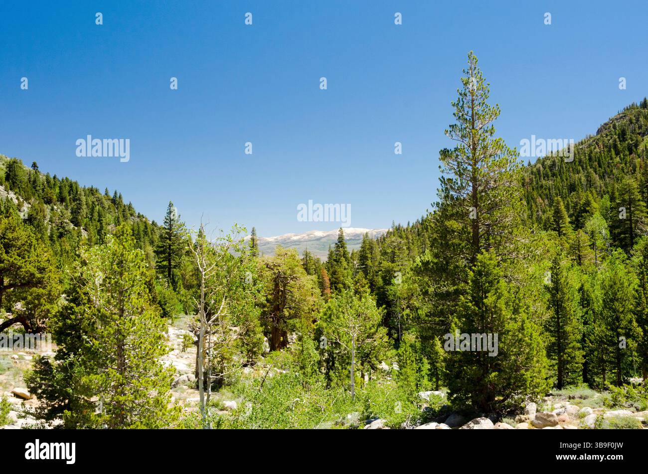 Panorama sierra nevada mountains hi-res stock photography and images