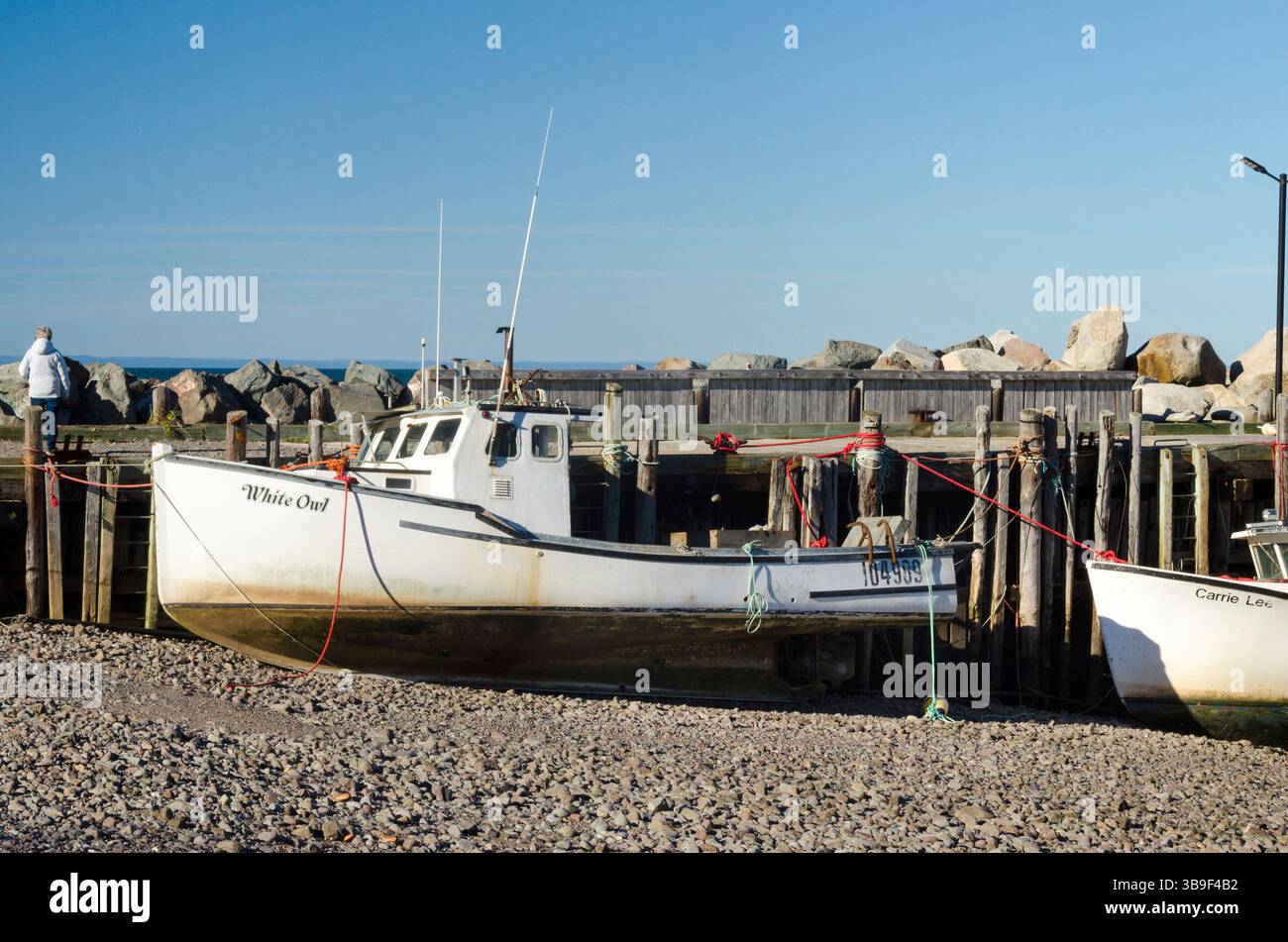 Fishing boats at low tide in Margaretsville harbour Stock Photo - Alamy