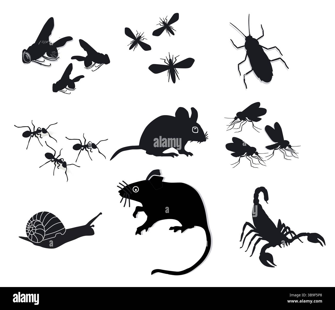 Bugs and pests, isolated on white, illustration Stock Photo