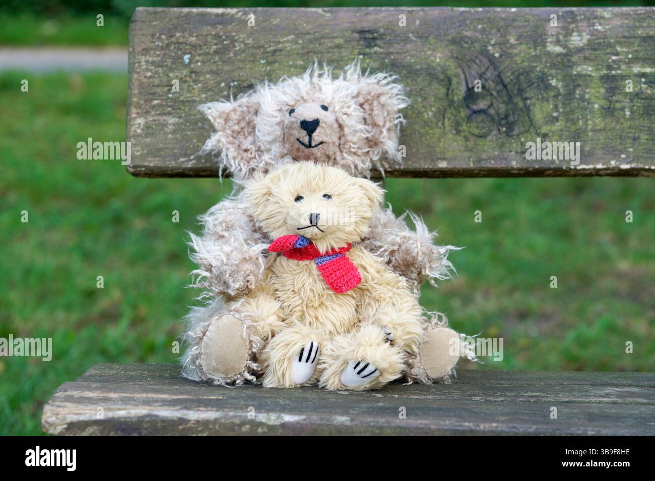 Cuddly bears hi-res stock photography and images - Alamy
