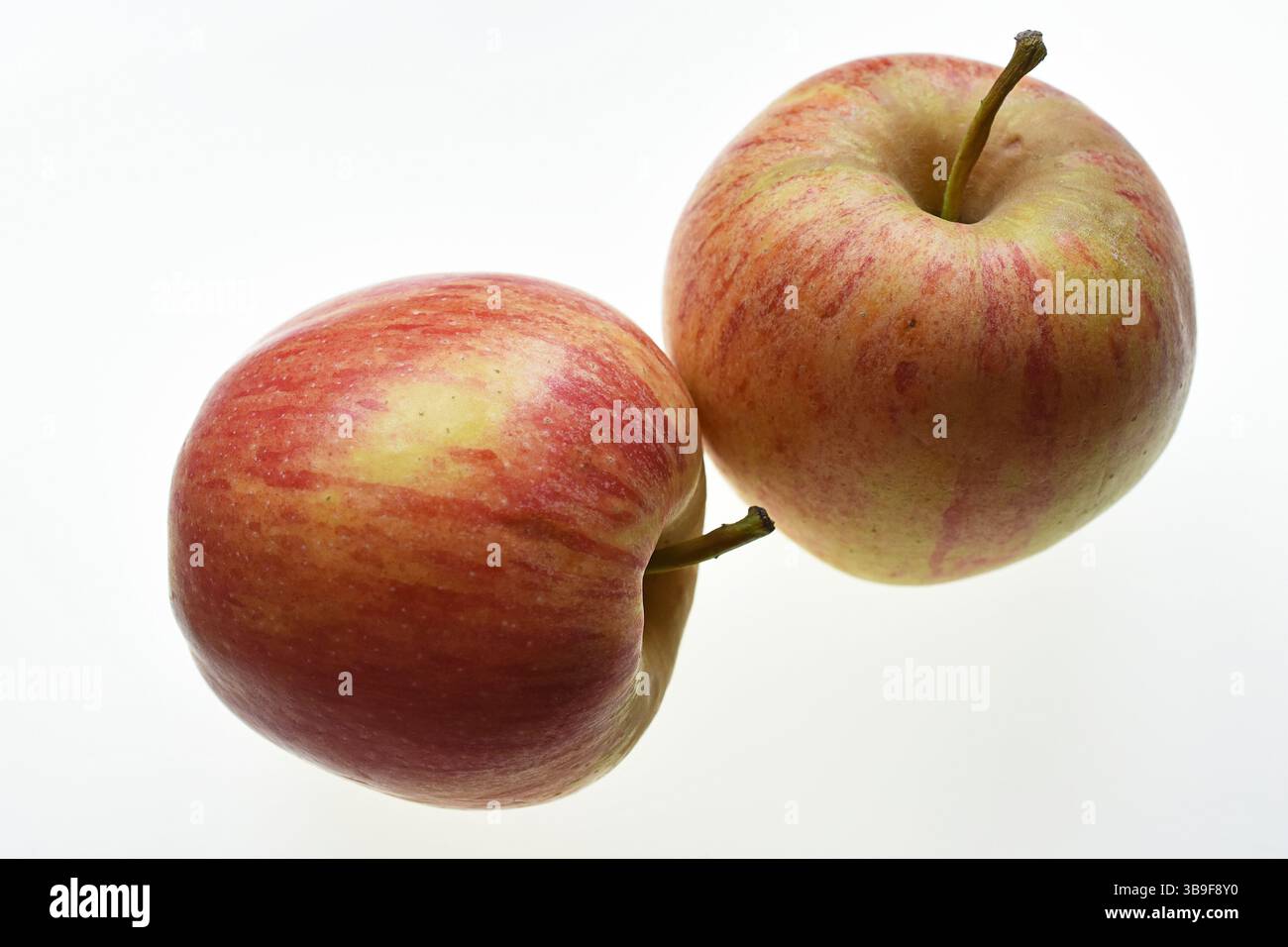 Two organic apples on a white background Stock Photo