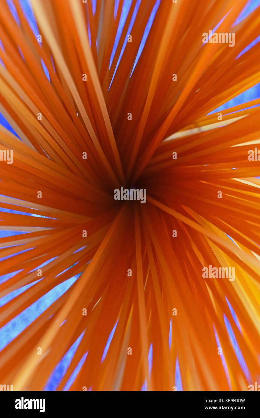 Spaghetti peperoncino Stock Photo
