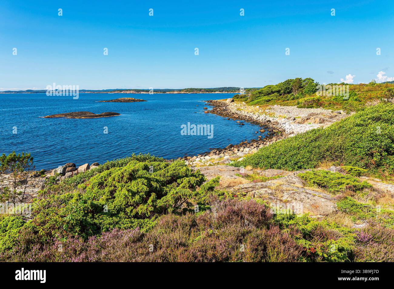 Merdo hi-res stock photography and images - Alamy