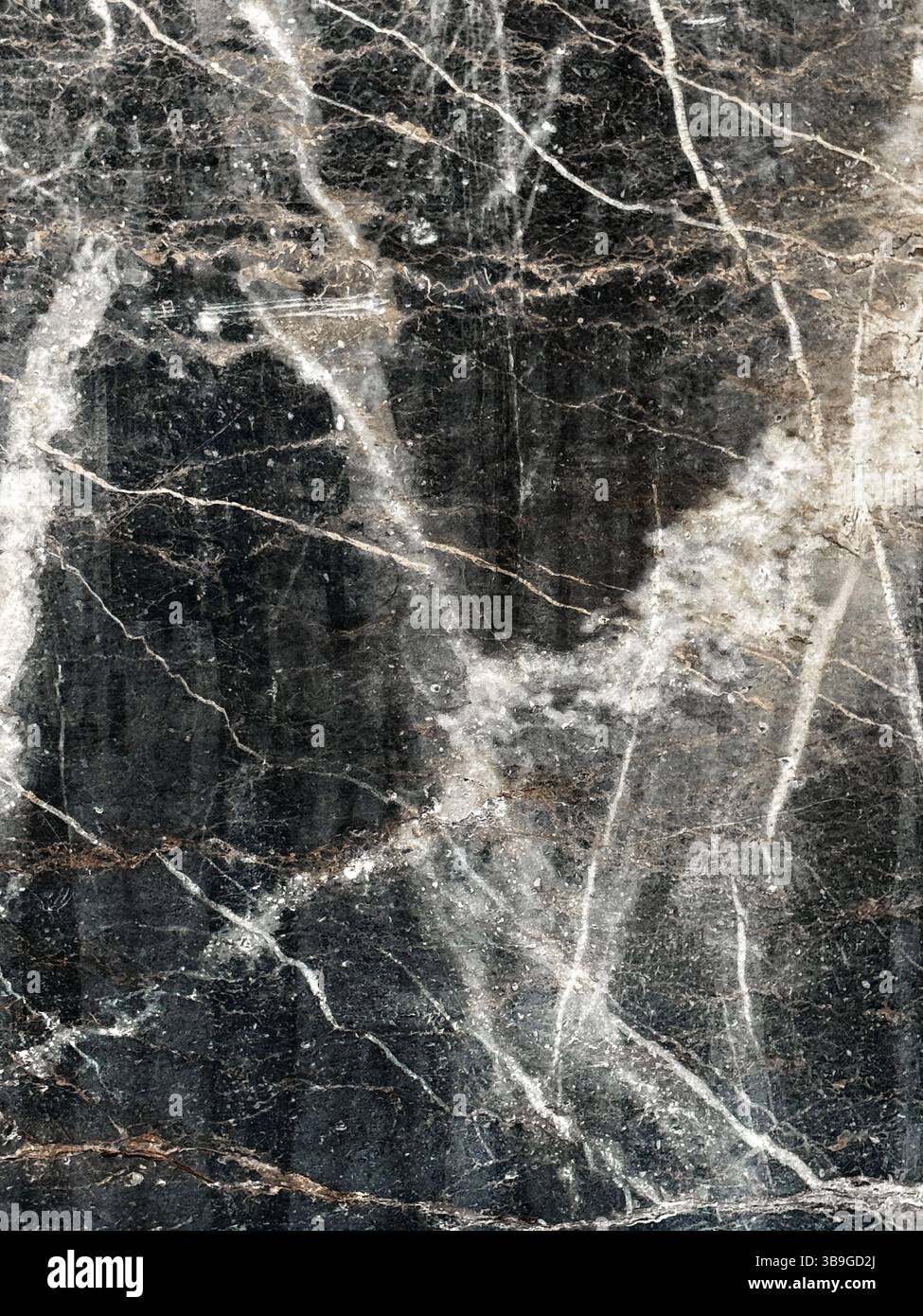 Featuring intricate white veins hi-res stock photography and images - Alamy