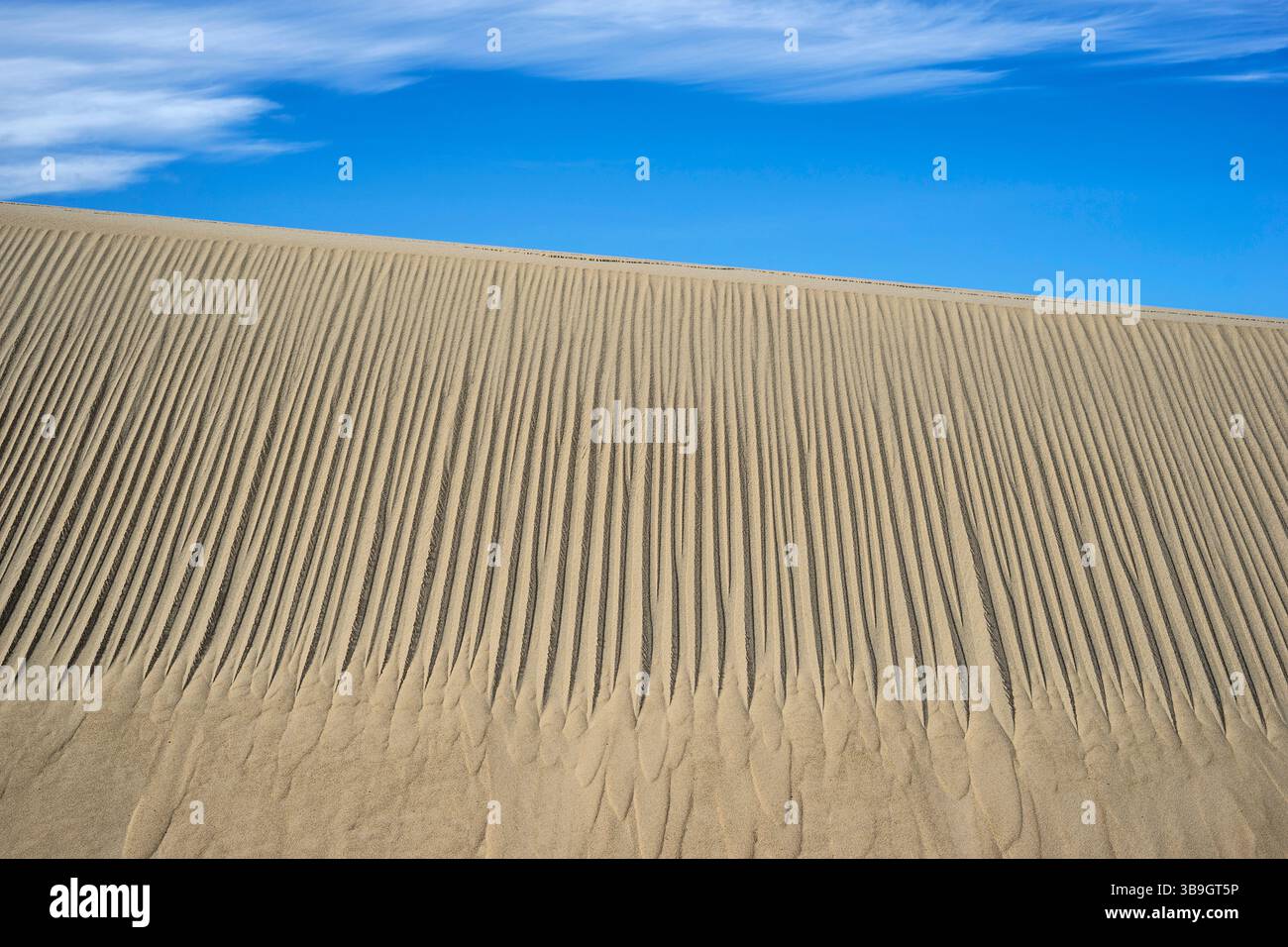 The Piquet - Sand