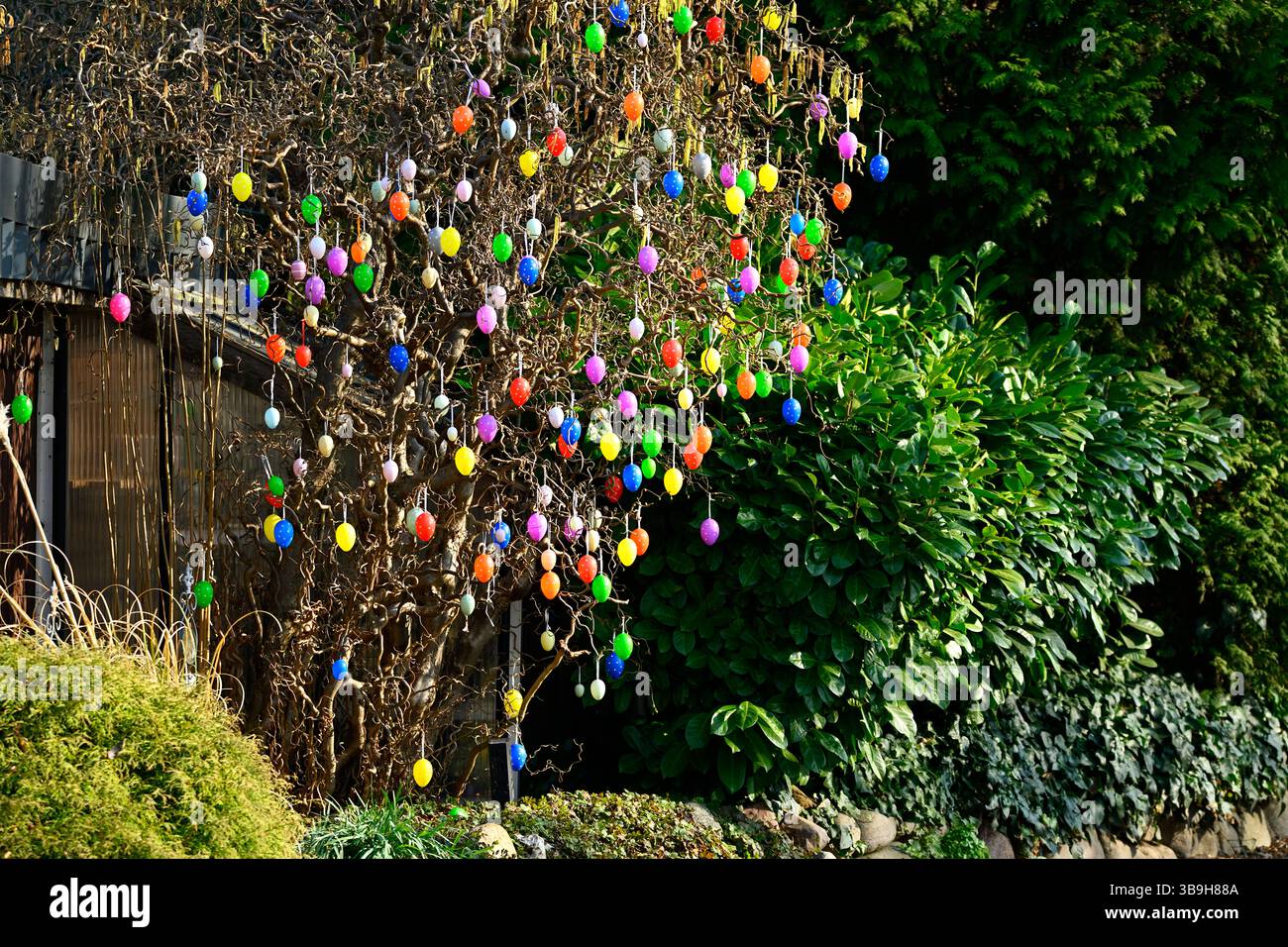 Shrub decorated with Easter eggs in Hamburg, Germany Stock Photo
