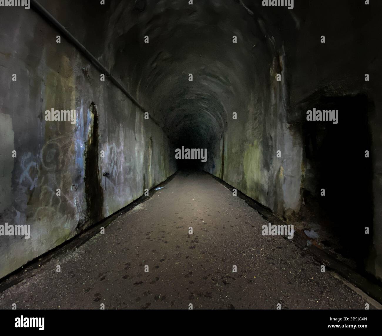 Abandoned railway tunnel - Smartphone Captured Stock Image