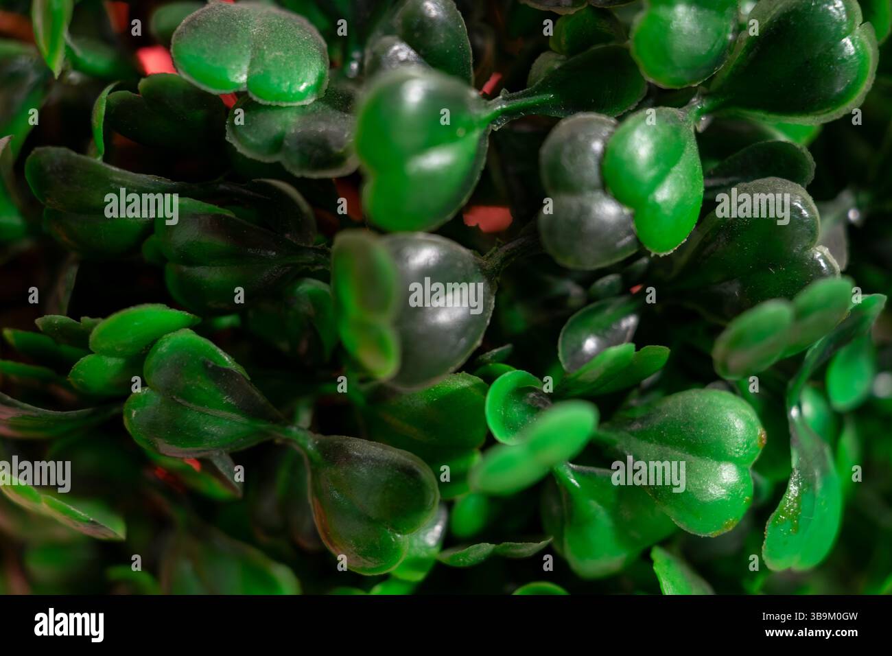 Lush green leaves create hi-res stock photography and images - Alamy