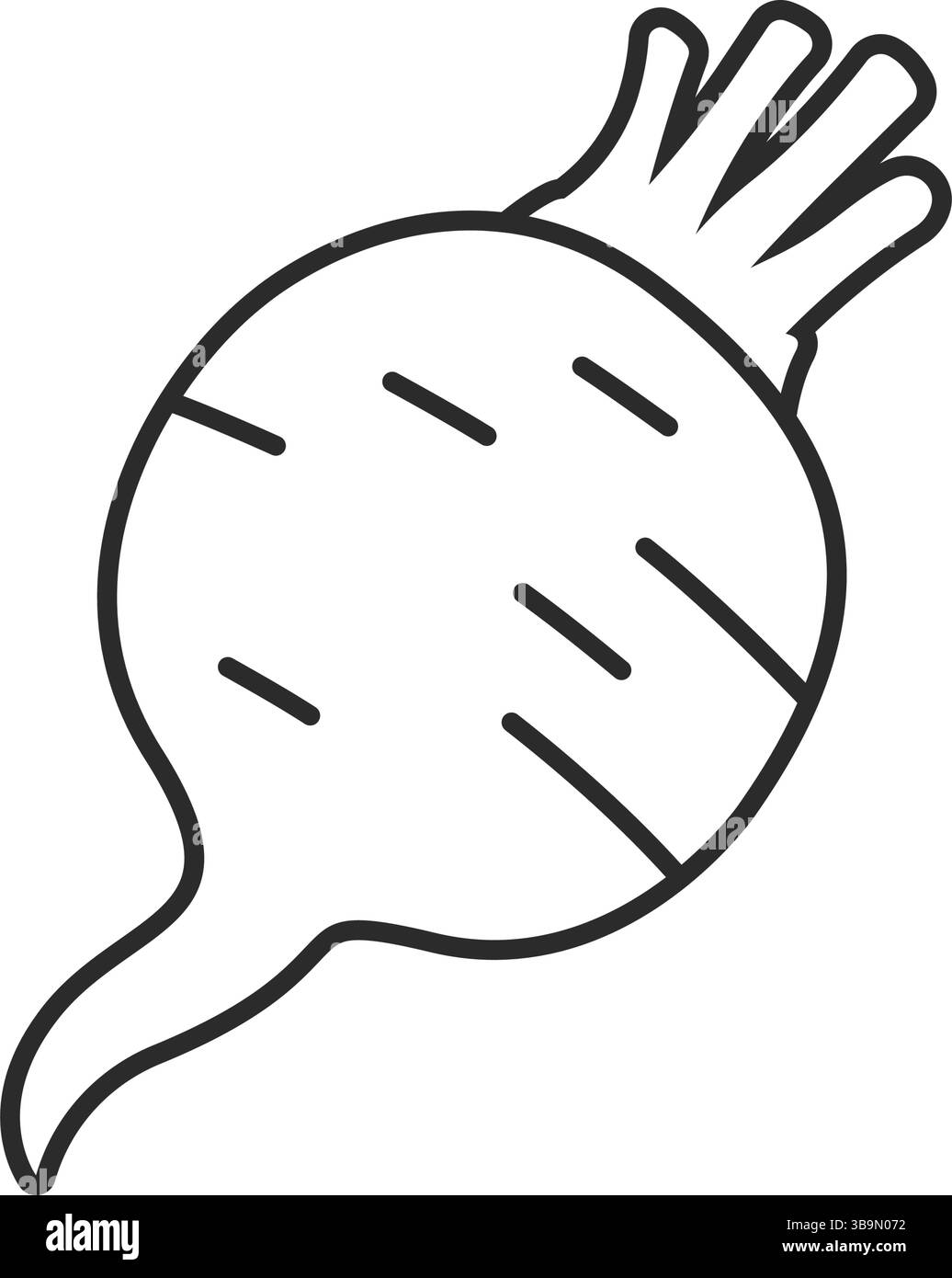 Beetroot vegetable with leaves icon in flat style. Beet plant vector ...