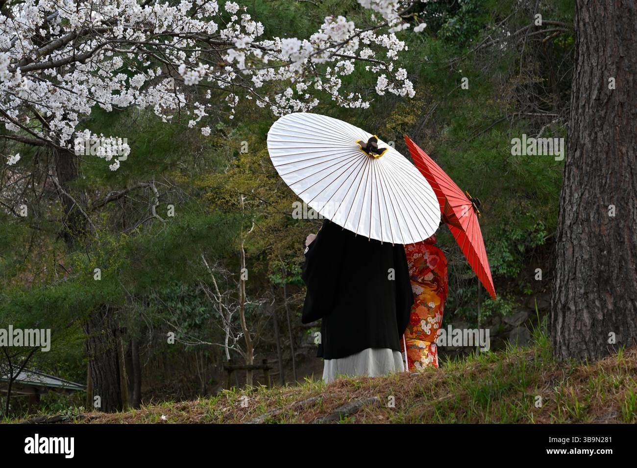 Married japanese couple hi-res stock photography and images - Alamy