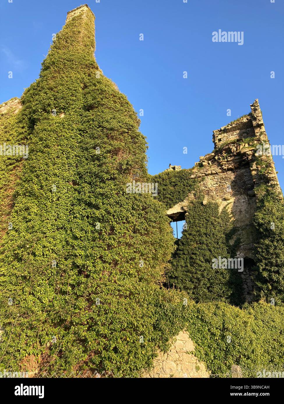 Dromineer Castle , Dromineer is a small village  in County Tipperary, Ireland. It is on the shores of Lough Derg, 8 km north-west of Nenagh - Smartphone Captured Stock Image