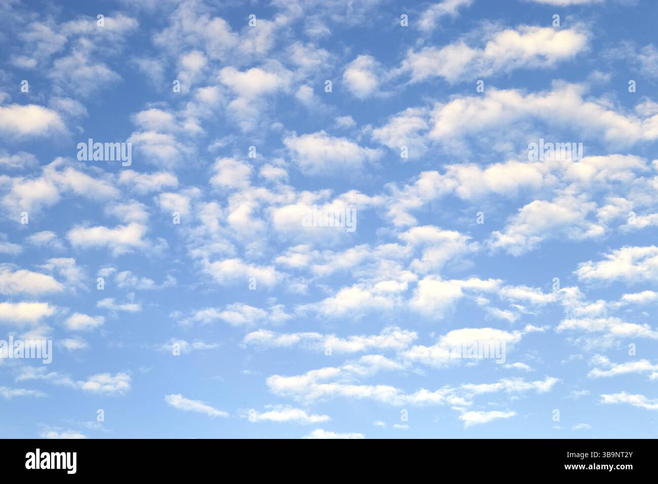 White stratus clouds on summer blue sky - simple blurred background. Horizontal composition Stock Photo