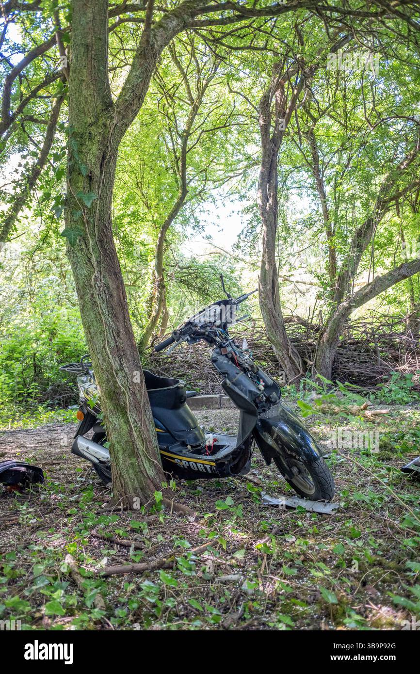 May 2025 - Wrecked and abandoned black motor scooter in the woods Stock ...