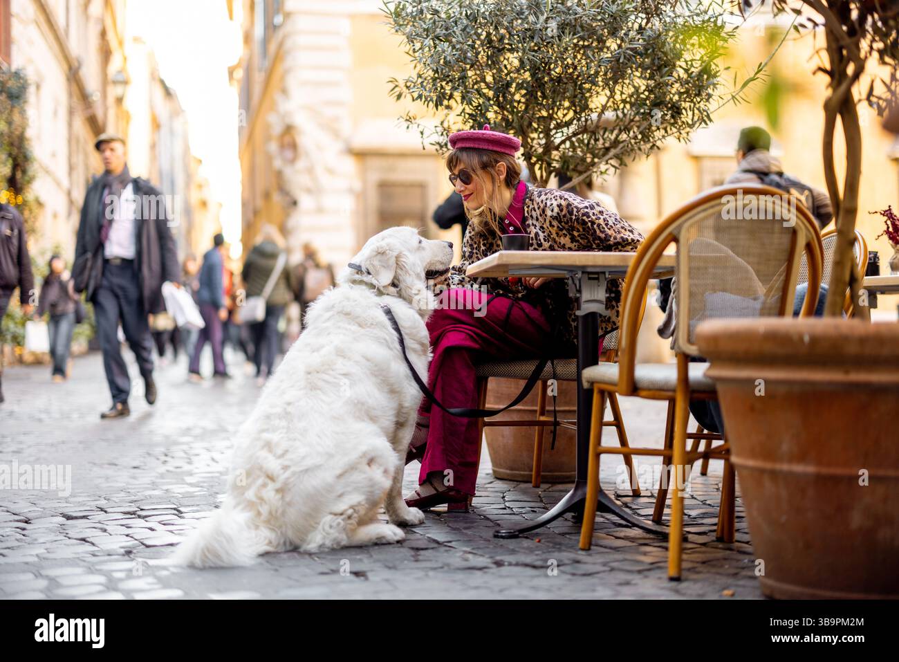 Emotional connection pet companionship cozy hi res stock photography Emotional connection pet companionship cozy hi res stock photography