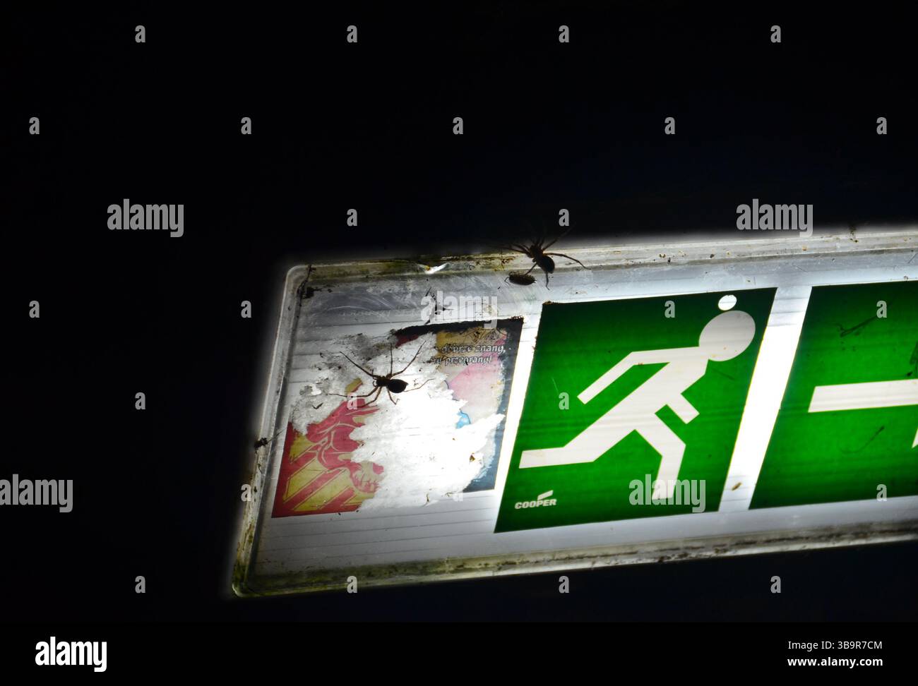 Spoiders on lightning sign Stock Photo
