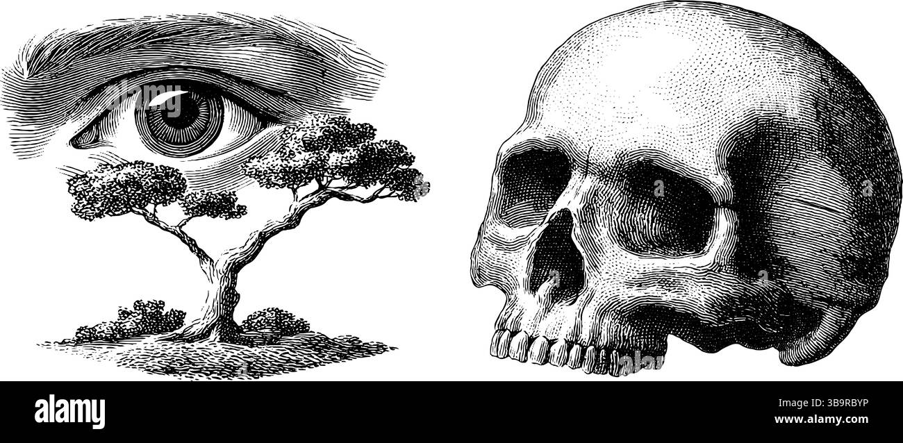 Mystical norse symbols with odin's eye and skull illustration for ...