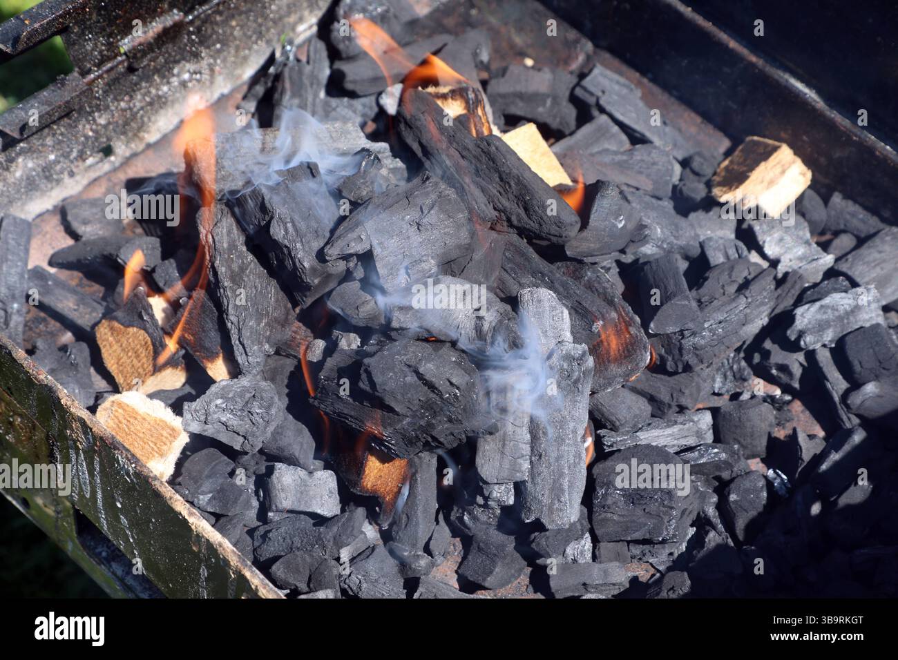 Grillzonen für die Öffentlichkeit Familien aus fernen Ländern grillen ... Grillzonen für die Öffentlichkeit Familien aus fernen Ländern grillen ...