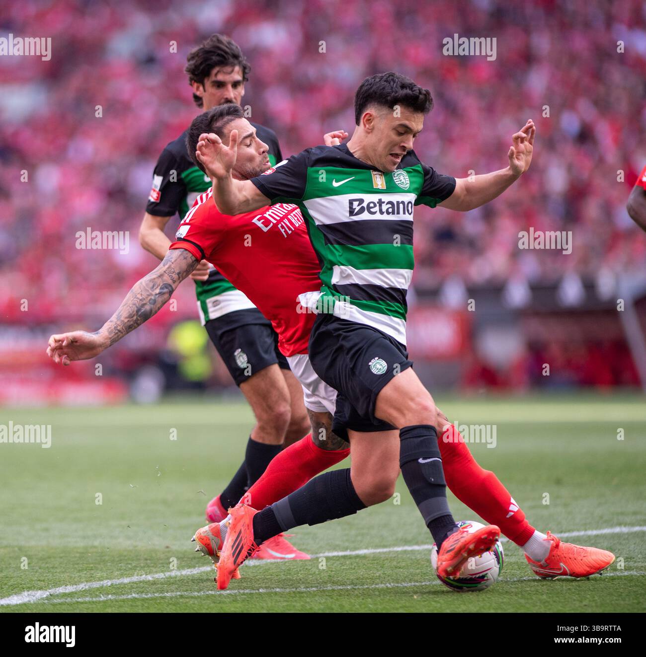 Sporting Benfica Guimar What's Next for Gil Vicente?