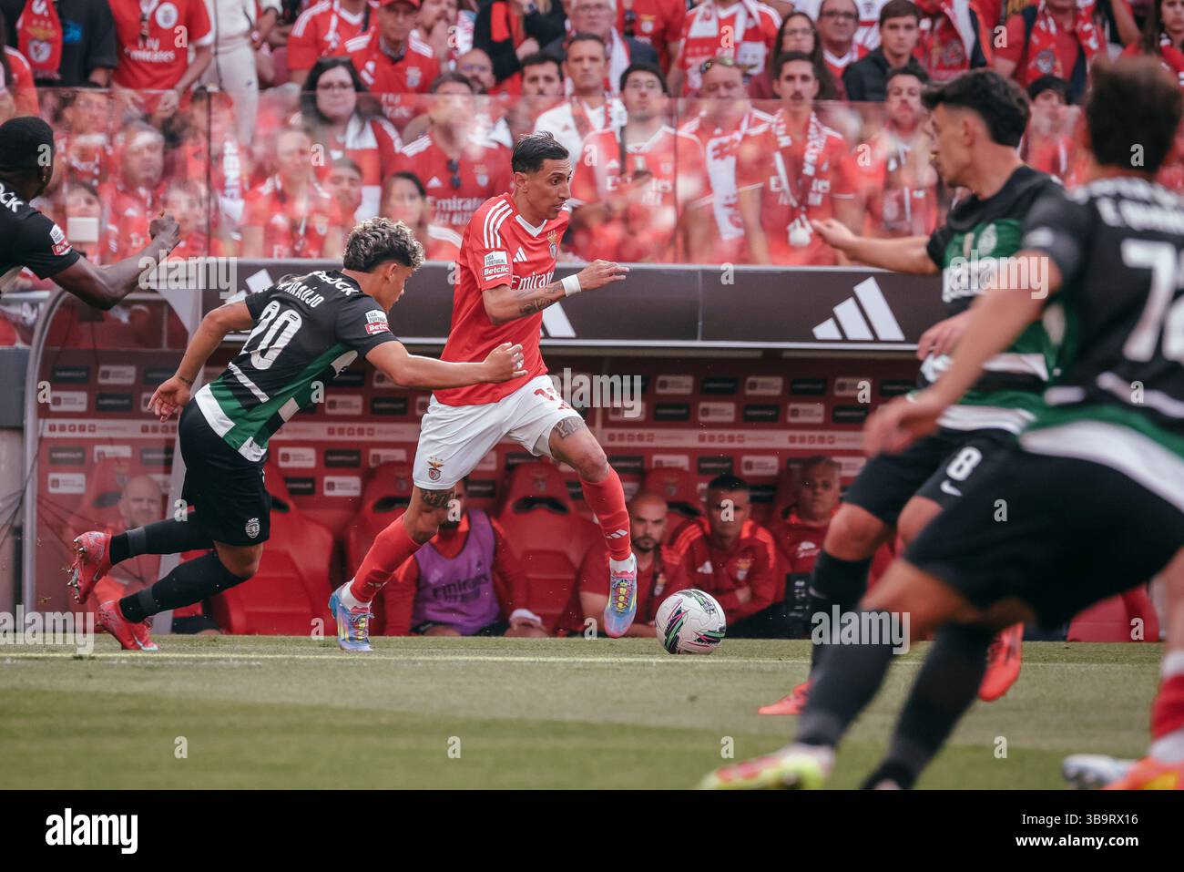 Benfica vs Sporting Braga: Primeira Liga Preview