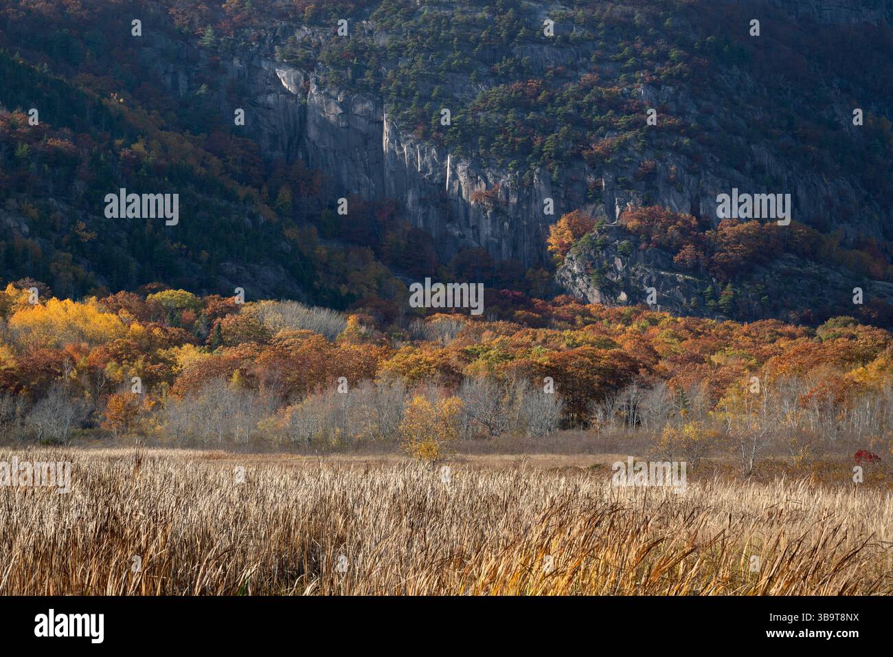The Preicpice. October in Acadia National Park, Maine, USA. Stock Photo